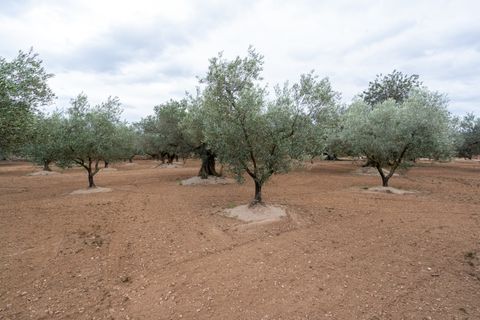 Tomt i Aldover, Tarragona, Aldover - € 23 000 | Ref: 176 - foto 11