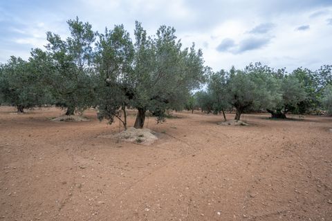 Tomt i Aldover, Tarragona, Aldover - € 23 000 | Ref: 176 - foto 10