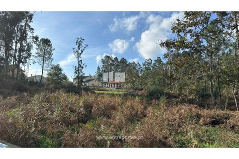 Helårsgrund i Valenca, Viana do Castelo, Valenca - € 69.500 | Ref: VCM14340 - foto 3