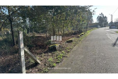 Helårsgrund i Valenca, Viana do Castelo, Valenca - € 69.500 | Ref: VCM14340 - foto 7