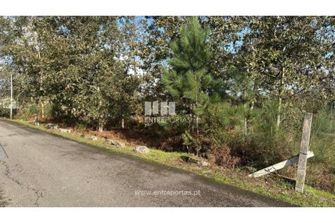 Helårsgrund i Valenca, Viana do Castelo, Valenca - € 69.500 | Ref: VCM14340 - foto 13
