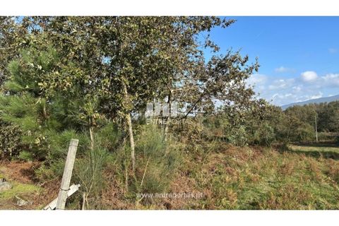 Helårsgrund i Valenca, Viana do Castelo, Valenca - € 69.500 | Ref: VCM14340 - foto 16