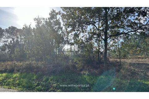 Helårsgrund i Valenca, Viana do Castelo, Valenca - € 69.500 | Ref: VCM14340 - foto 18