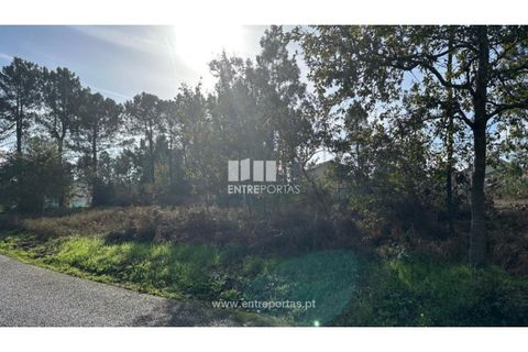 Helårsgrund i Valenca, Viana do Castelo, Valenca - € 69.500 | Ref: VCM14340 - foto 21