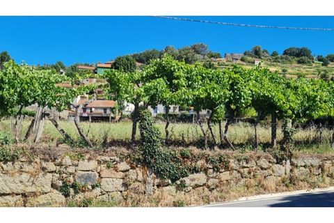 Villa - Gestaco, Porto, Gestaco - € 139 000 | Réf : MC09736 - photo 26