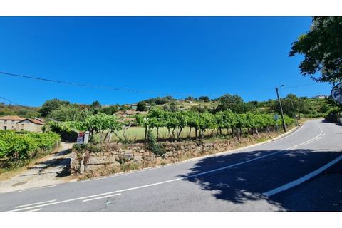 Villa - Gestaco, Porto, Gestaco - € 139 000 | Réf : MC09736 - photo 29