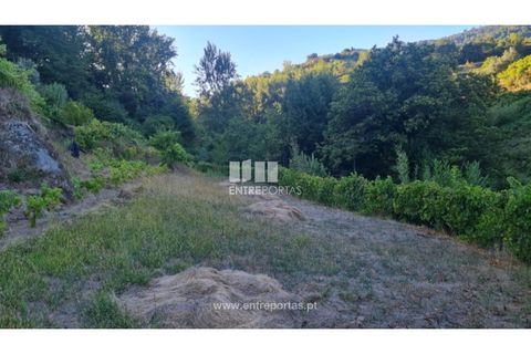 Terra a Ancede e Ribadouro, Porto, Ancede e Ribadouro - € 30.000 | Ref: MC09721 - foto 7