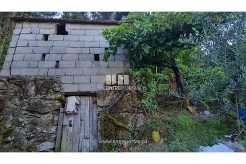 Terra a Ancede e Ribadouro, Porto, Ancede e Ribadouro - € 30.000 | Ref: MC09721 - foto 13