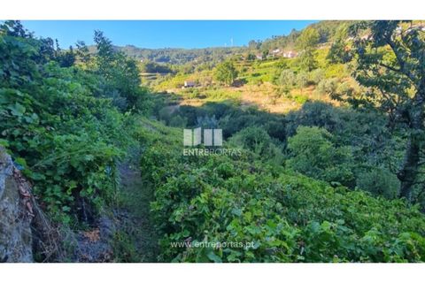 Terra a Ancede e Ribadouro, Porto, Ancede e Ribadouro - € 30.000 | Ref: MC09721 - foto 14