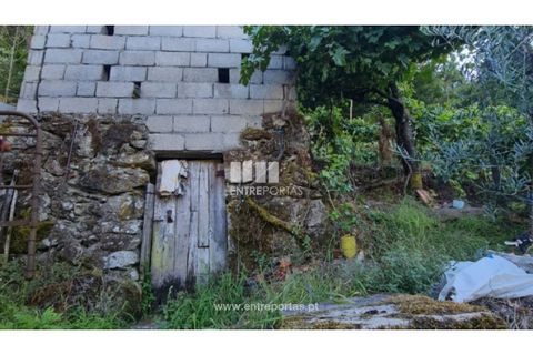 Terra a Ancede e Ribadouro, Porto, Ancede e Ribadouro - € 30.000 | Ref: MC09721 - foto 17