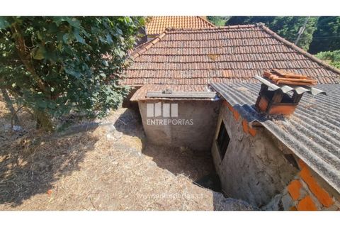 Villa i Baiao, Porto, Baiao - € 32.000 | Ref: MC09720 - foto 4