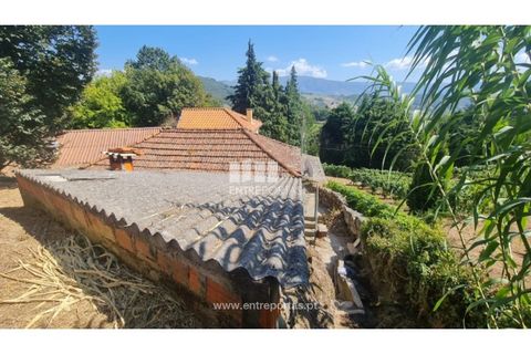 Villa i Baiao, Porto, Baiao - € 32.000 | Ref: MC09720 - foto 34