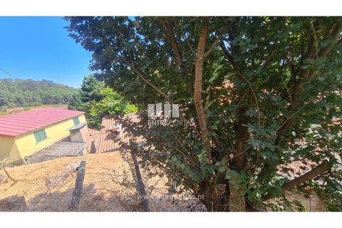 Villa i Baiao, Porto, Baiao - € 32.000 | Ref: MC09720 - foto 36