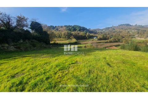Helårsgrund i Ancede e Ribadouro, Porto, Ancede e Ribadouro - € 20.000 | Ref: MC09742 - foto 1
