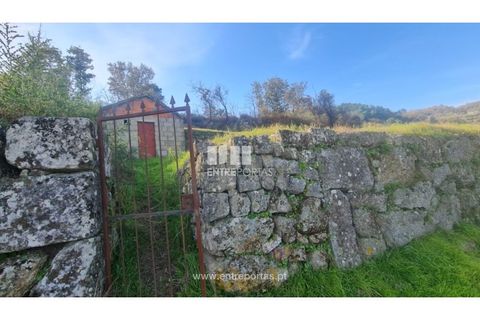 Helårsgrund i Ancede e Ribadouro, Porto, Ancede e Ribadouro - € 20.000 | Ref: MC09742 - foto 2