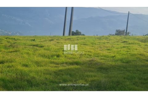 Helårsgrund i Ancede e Ribadouro, Porto, Ancede e Ribadouro - € 20.000 | Ref: MC09742 - foto 3