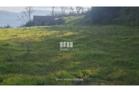 Helårsgrund i Ancede e Ribadouro, Porto, Ancede e Ribadouro - € 20.000 | Ref: MC09742 - foto 4