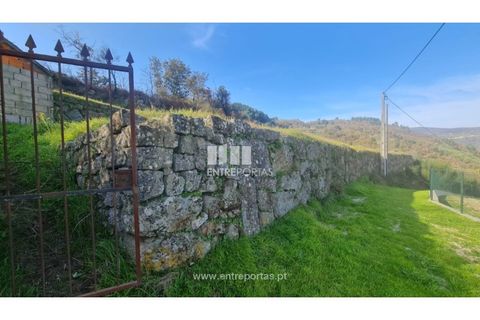 Helårsgrund i Ancede e Ribadouro, Porto, Ancede e Ribadouro - € 20.000 | Ref: MC09742 - foto 5