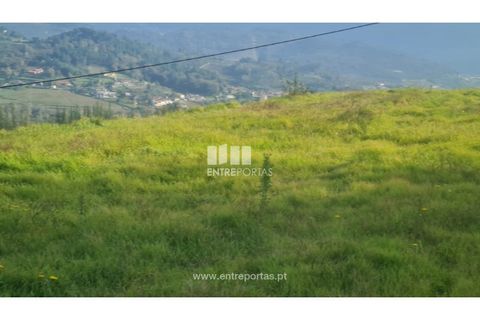 Helårsgrund i Ancede e Ribadouro, Porto, Ancede e Ribadouro - € 20.000 | Ref: MC09742 - foto 6