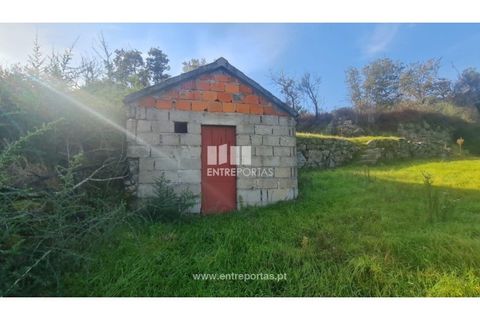 Helårsgrund i Ancede e Ribadouro, Porto, Ancede e Ribadouro - € 20.000 | Ref: MC09742 - foto 7