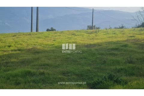 Helårsgrund i Ancede e Ribadouro, Porto, Ancede e Ribadouro - € 20.000 | Ref: MC09742 - foto 8