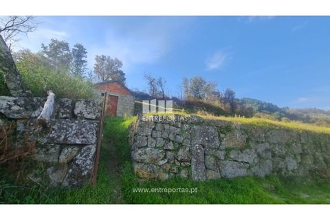 Helårsgrund i Ancede e Ribadouro, Porto, Ancede e Ribadouro - € 20.000 | Ref: MC09742 - foto 9