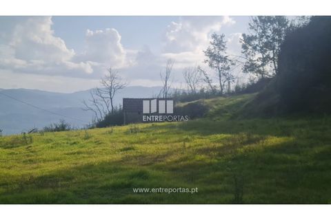 Helårsgrund i Ancede e Ribadouro, Porto, Ancede e Ribadouro - € 20.000 | Ref: MC09742 - foto 12