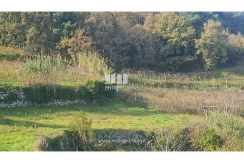 Helårsgrund i Ancede e Ribadouro, Porto, Ancede e Ribadouro - € 20.000 | Ref: MC09742 - foto 13