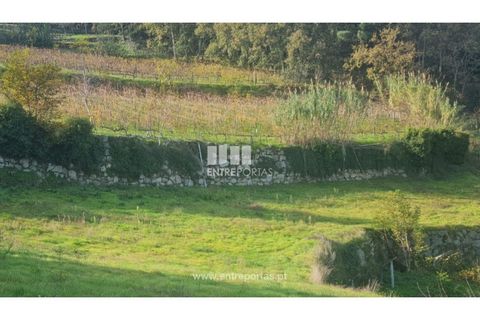 Helårsgrund i Ancede e Ribadouro, Porto, Ancede e Ribadouro - € 20.000 | Ref: MC09742 - foto 14