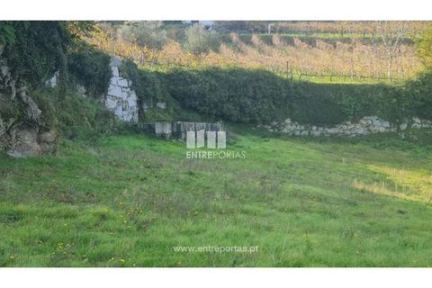 Helårsgrund i Ancede e Ribadouro, Porto, Ancede e Ribadouro - € 20.000 | Ref: MC09742 - foto 15