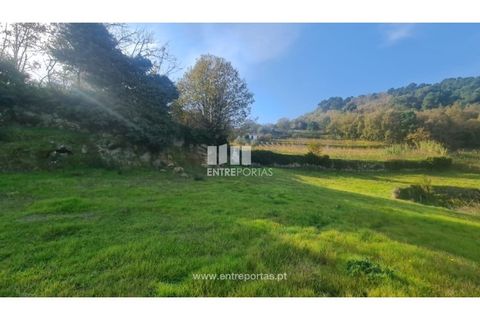 Helårsgrund i Ancede e Ribadouro, Porto, Ancede e Ribadouro - € 20.000 | Ref: MC09742 - foto 16