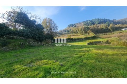 Helårsgrund i Ancede e Ribadouro, Porto, Ancede e Ribadouro - € 20.000 | Ref: MC09742 - foto 17