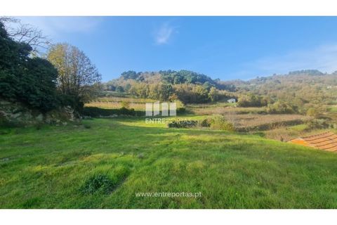 Helårsgrund i Ancede e Ribadouro, Porto, Ancede e Ribadouro - € 20.000 | Ref: MC09742 - foto 18