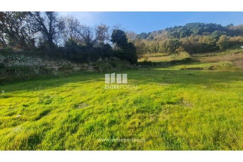 Helårsgrund i Ancede e Ribadouro, Porto, Ancede e Ribadouro - € 20.000 | Ref: MC09742 - foto 19