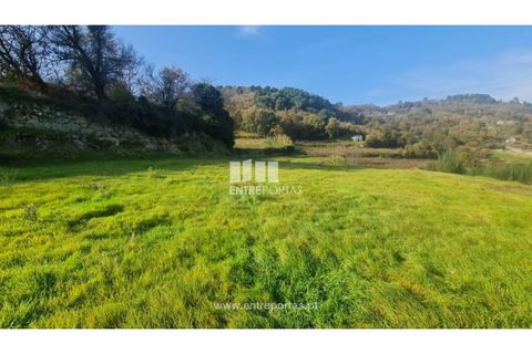 Helårsgrund i Ancede e Ribadouro, Porto, Ancede e Ribadouro - € 20.000 | Ref: MC09742 - foto 20