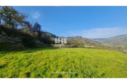 Helårsgrund i Ancede e Ribadouro, Porto, Ancede e Ribadouro - € 20.000 | Ref: MC09742 - foto 22