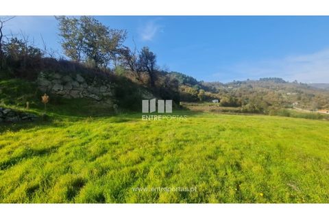 Helårsgrund i Ancede e Ribadouro, Porto, Ancede e Ribadouro - € 20.000 | Ref: MC09742 - foto 23