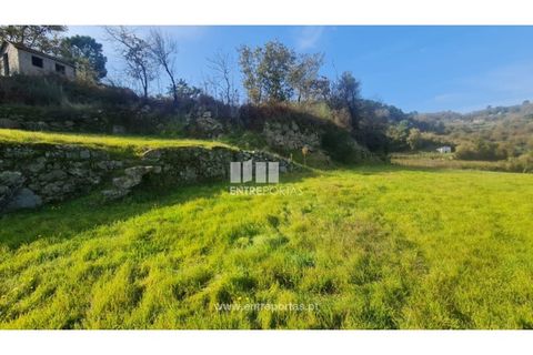 Helårsgrund i Ancede e Ribadouro, Porto, Ancede e Ribadouro - € 20.000 | Ref: MC09742 - foto 24