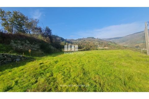 Helårsgrund i Ancede e Ribadouro, Porto, Ancede e Ribadouro - € 20.000 | Ref: MC09742 - foto 26
