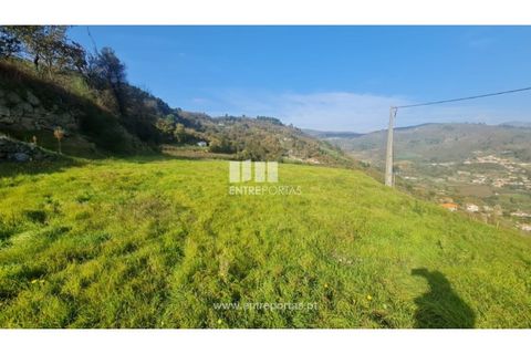 Helårsgrund i Ancede e Ribadouro, Porto, Ancede e Ribadouro - € 20.000 | Ref: MC09742 - foto 27