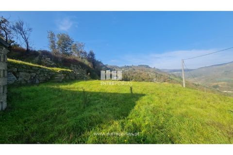 Helårsgrund i Ancede e Ribadouro, Porto, Ancede e Ribadouro - € 20.000 | Ref: MC09742 - foto 28