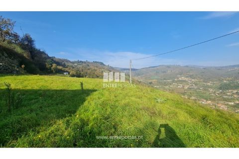 Helårsgrund i Ancede e Ribadouro, Porto, Ancede e Ribadouro - € 20.000 | Ref: MC09742 - foto 29