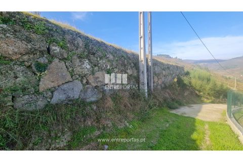 Helårsgrund i Ancede e Ribadouro, Porto, Ancede e Ribadouro - € 20.000 | Ref: MC09742 - foto 31