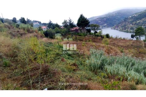 Terra a Resende, Viseu, Resende - € 350.000 | Ref: MC09732 - foto 2