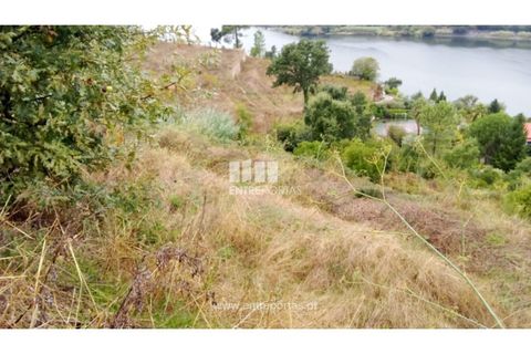 Terra a Resende, Viseu, Resende - € 350.000 | Ref: MC09732 - foto 3