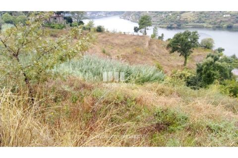 Terra a Resende, Viseu, Resende - € 350.000 | Ref: MC09732 - foto 4