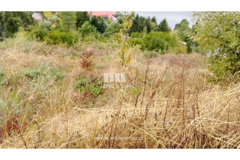 Terra a Resende, Viseu, Resende - € 350.000 | Ref: MC09732 - foto 5