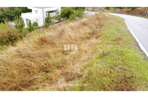 Terra a Resende, Viseu, Resende - € 350.000 | Ref: MC09732 - foto 6