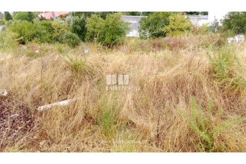 Terra a Resende, Viseu, Resende - € 350.000 | Ref: MC09732 - foto 7