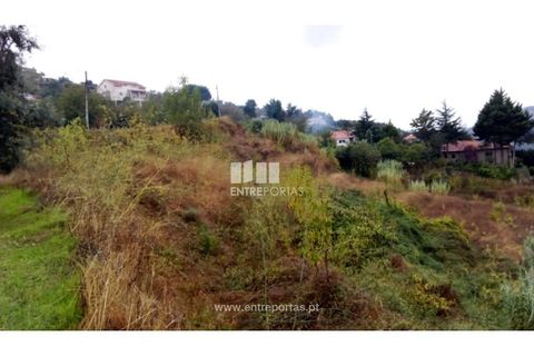 Terra a Resende, Viseu, Resende - € 350.000 | Ref: MC09732 - foto 8
